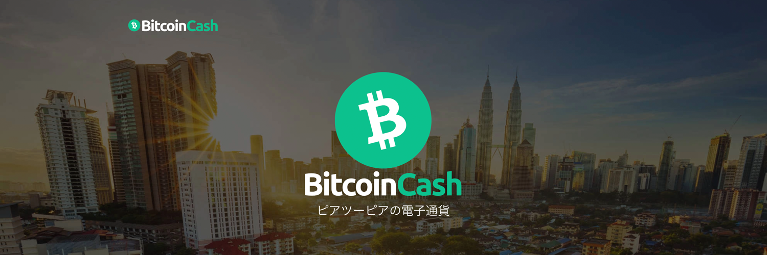 Bitcoin Cash ビットコインキャッシュ（BCH）