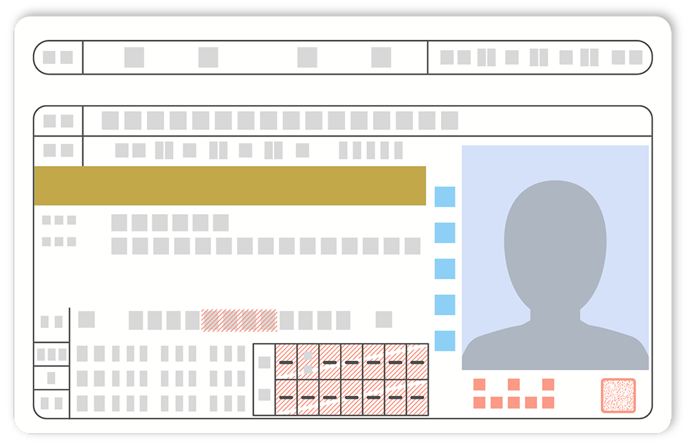 運転免許証の見本