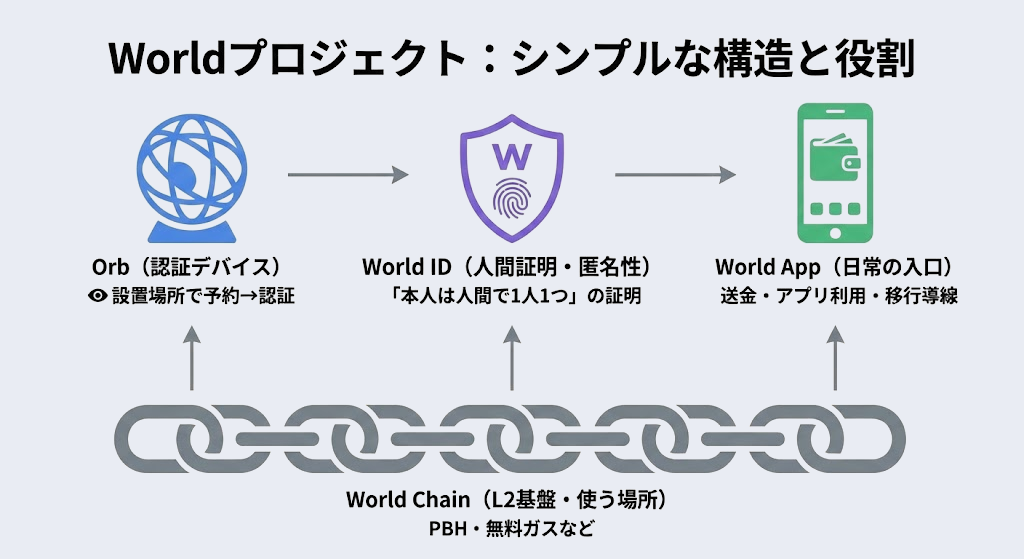 Worldcoinの構造と役割