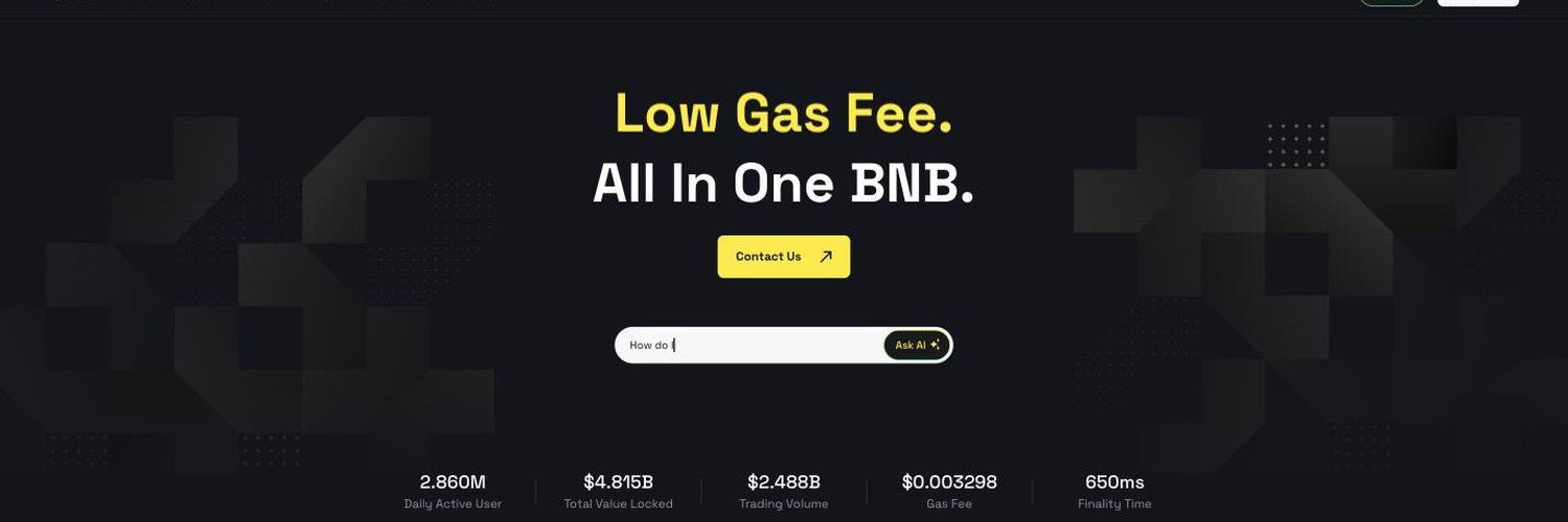 BNB Chain公式ページのスクリーンショット